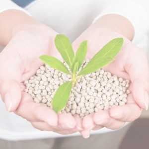 content_no_background